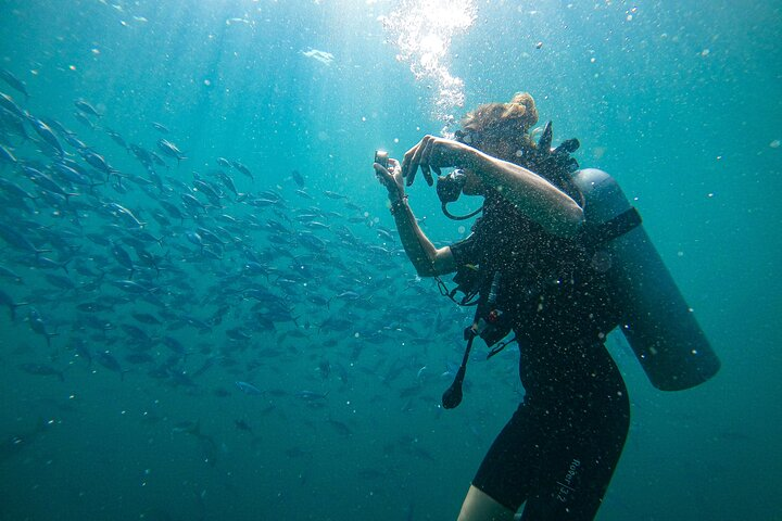 Discover SCUBA Diving in Beautiful Unawatuna Bay - Photo 1 of 24